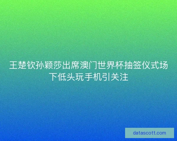 王楚钦孙颖莎出席澳门世界杯抽签仪式场下低头玩手机引关注